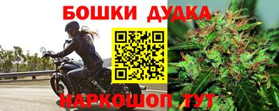 сатива Можга